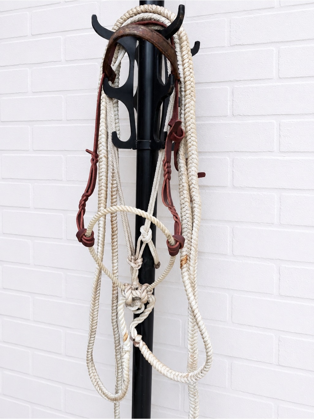 Loping Hackamore - Bosal